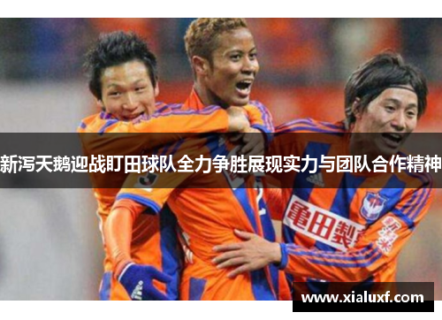 新泻天鹅迎战盯田球队全力争胜展现实力与团队合作精神